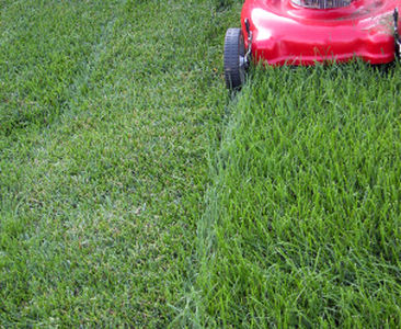 Calgary Lawn Mowing