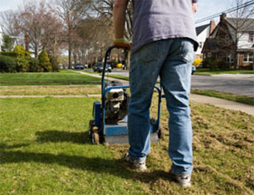 Residential lawn care services in Calgary 2