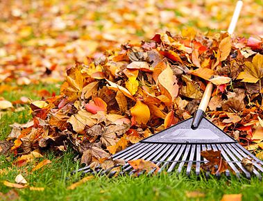 Fall lawn care