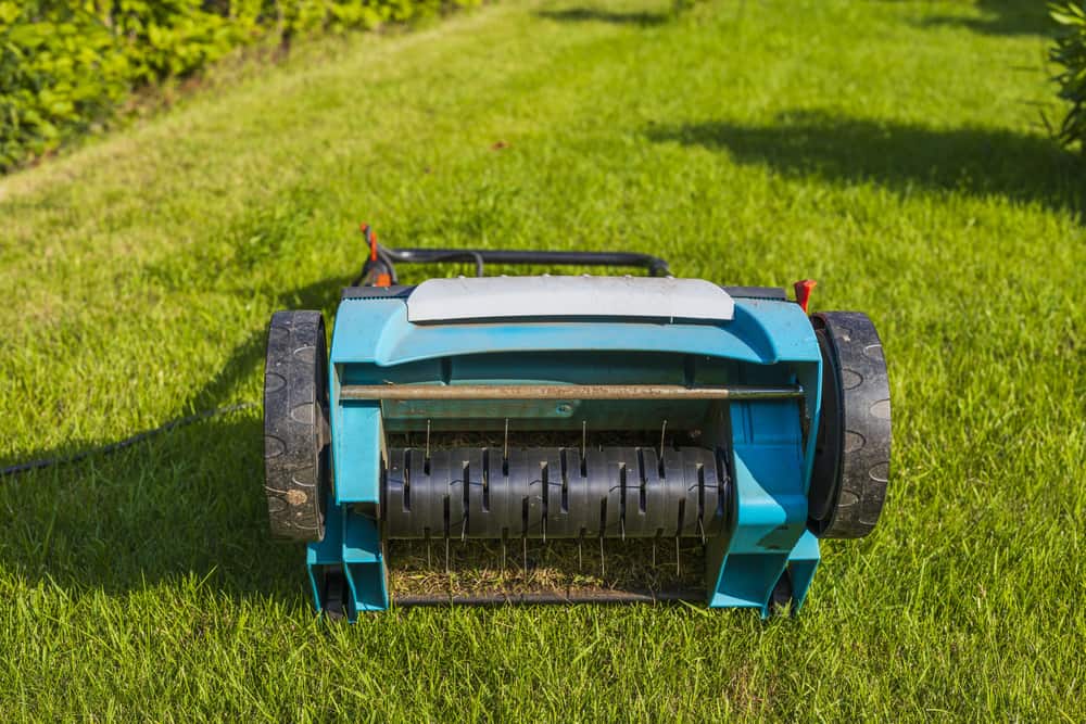 The Importance of Aeration in Calgary Lawns