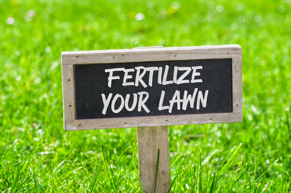 The Benefits of Fertilizer