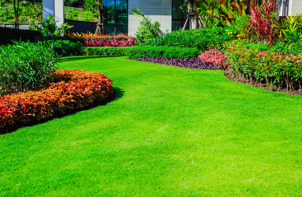 Maintaining Your Lawn