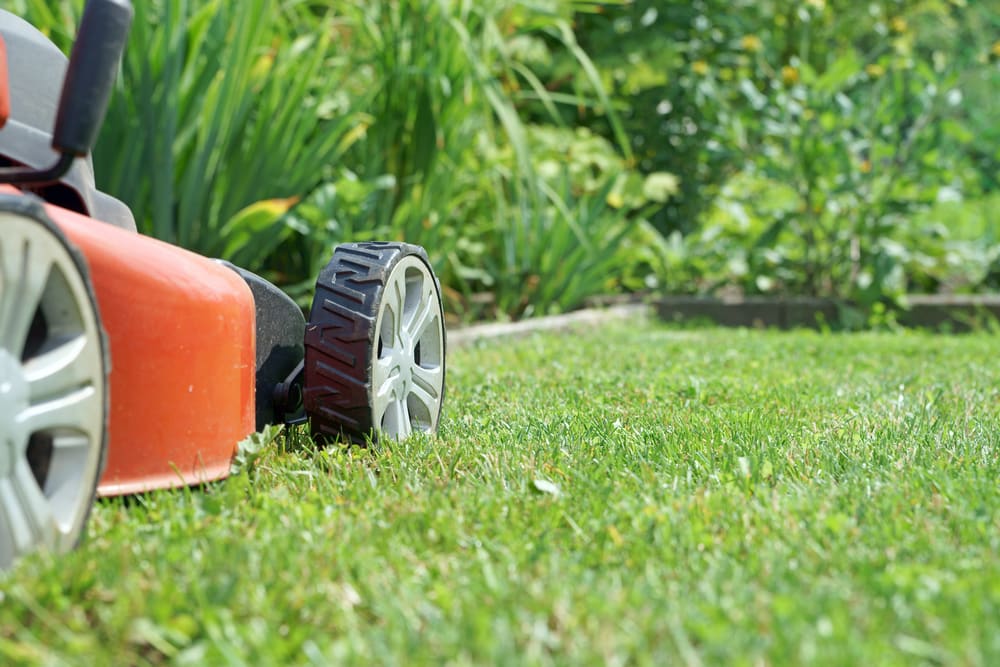How to Prepare Your Lawn for Winter