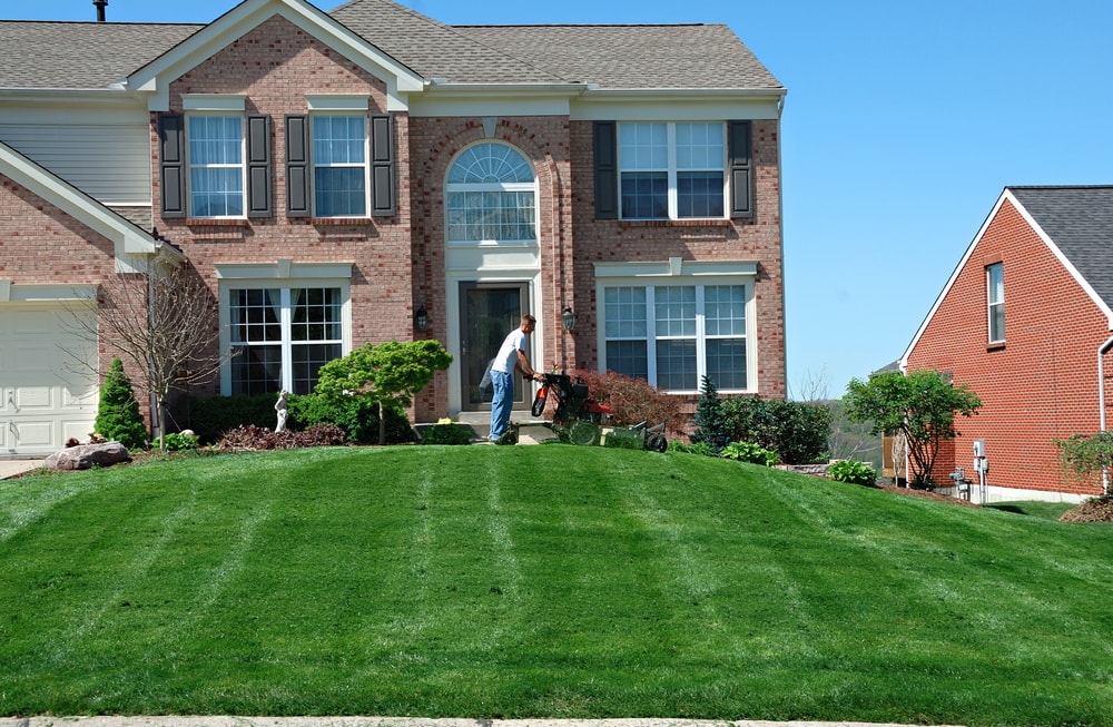 call-201-483-4976-for-lawn-care-and-tree-service-near-me-fair-lawn