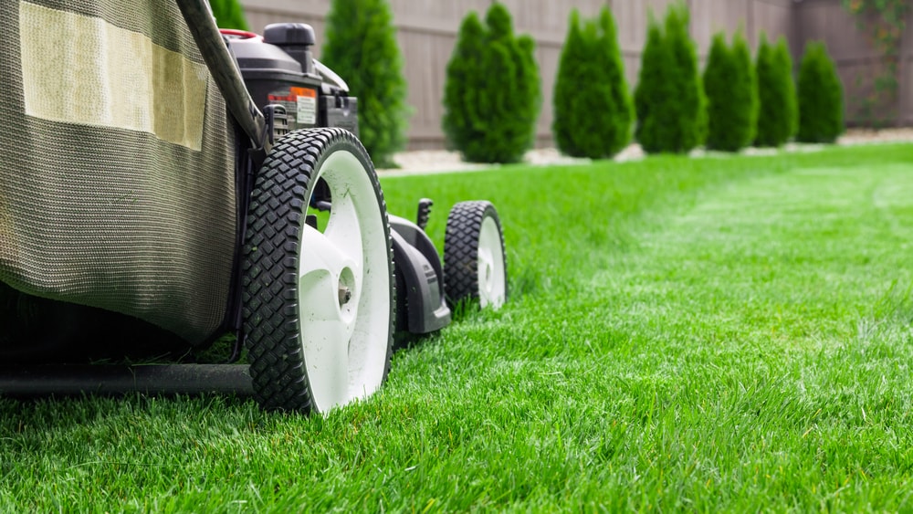 Lawn companies on sale