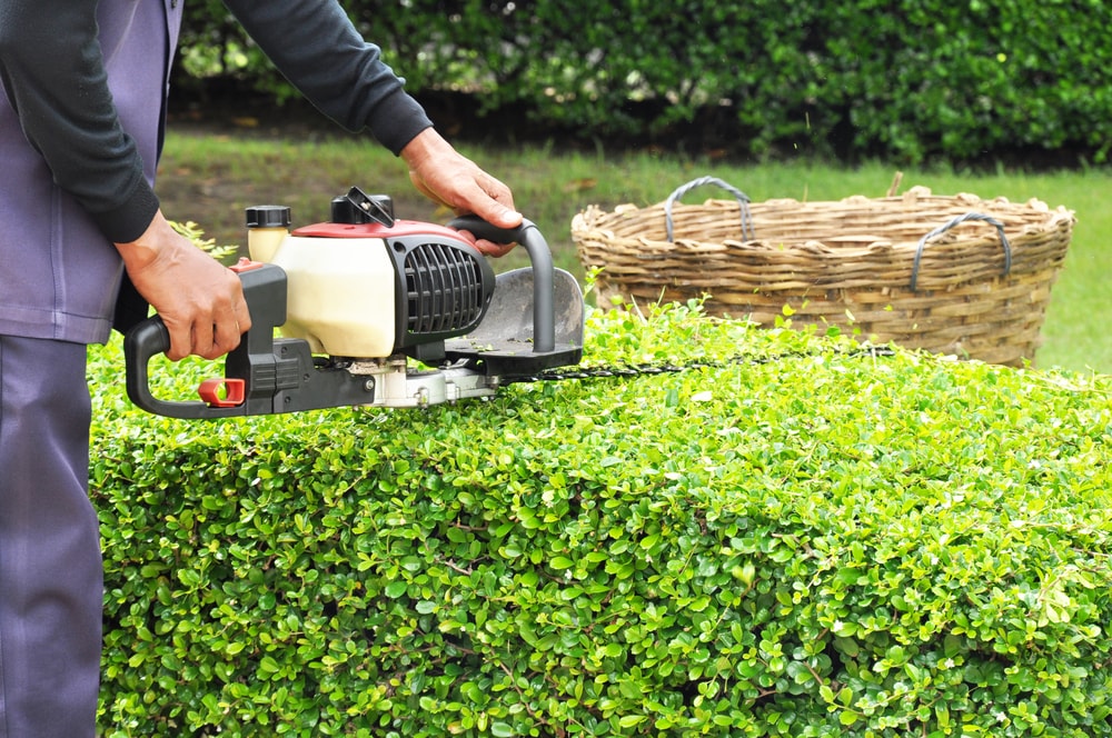The Real Benefits of Lawn Care Maintenance and Weed Control