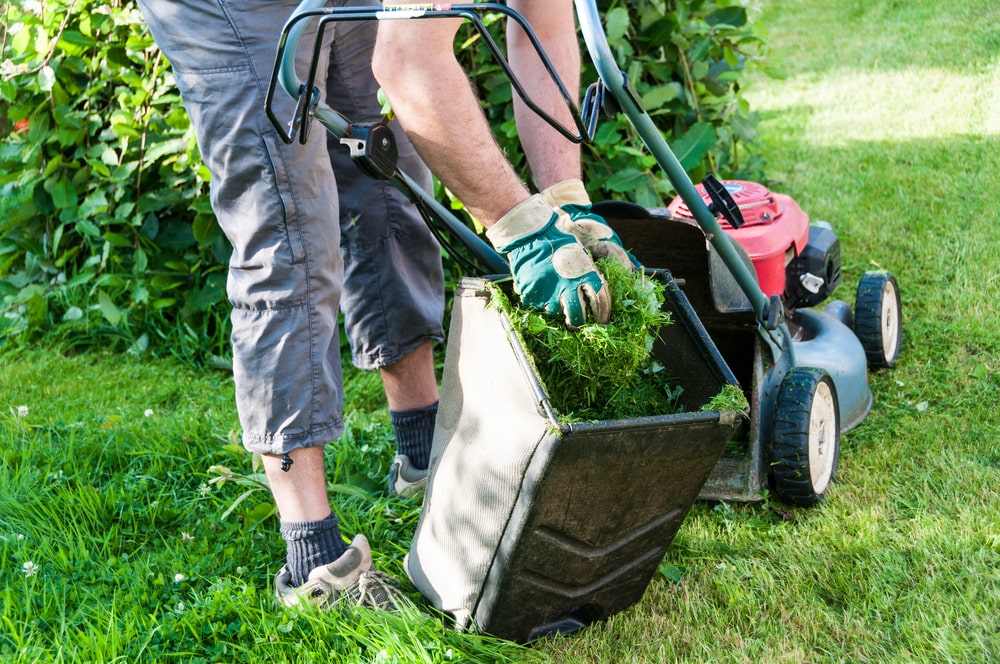 Lawn Mowing Service