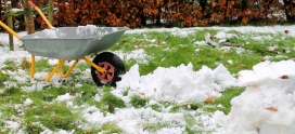 Prevent Snow Mold With These Essential Winter Lawn Care Tips