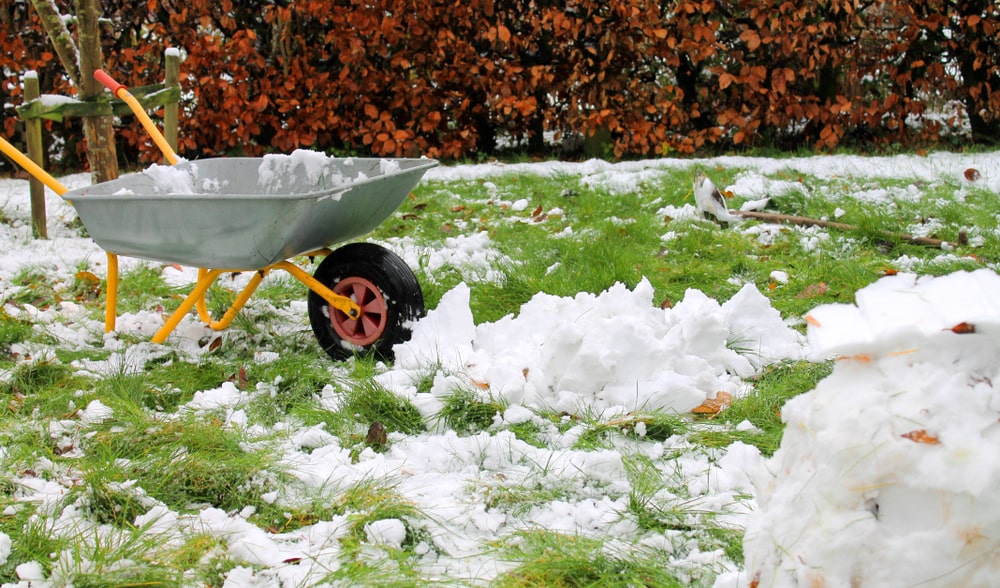 Protecting your lawn from snow: Winter care tips