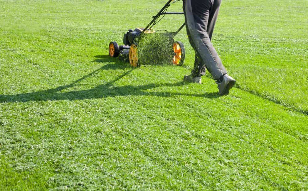 Top 5 tips for selecting a Calgary lawn care professional