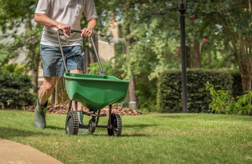 3 tips for eco-friendly yard maintenance in Calgary