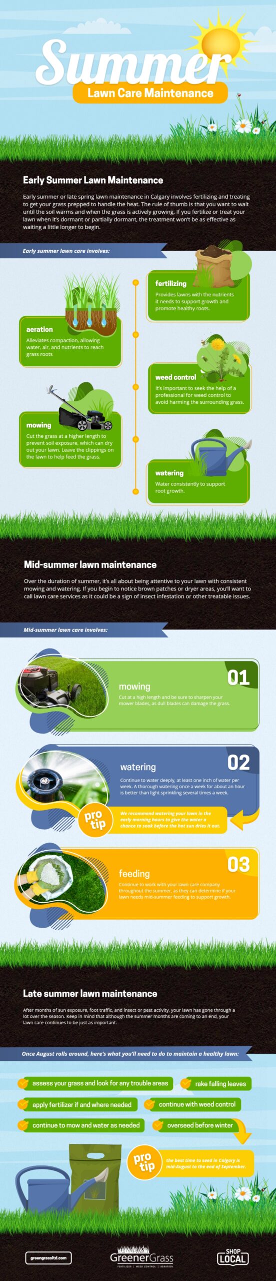 summer lawn care guide infographic