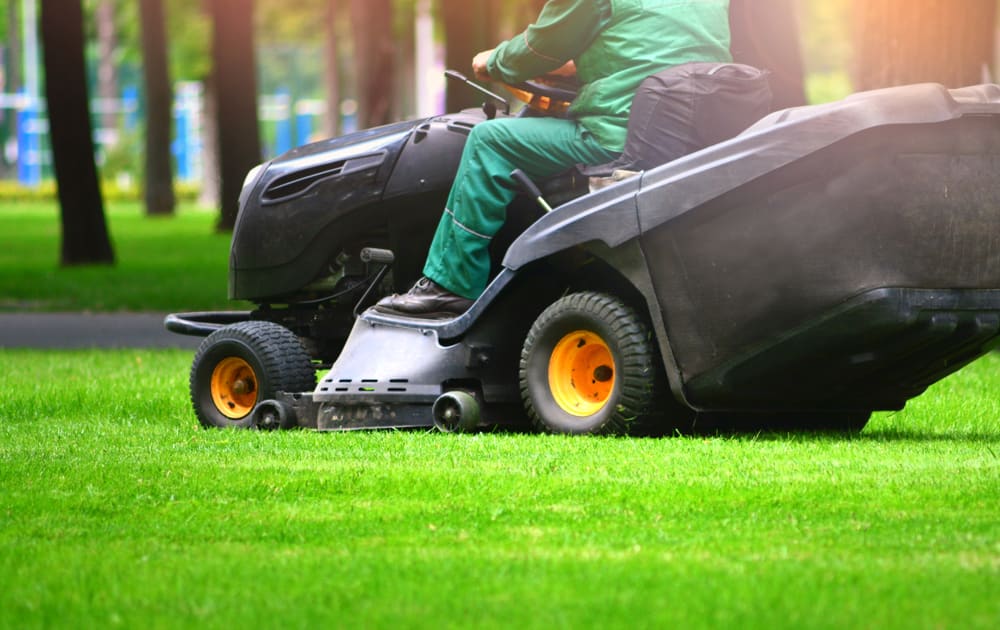 A complete summer lawn care guide