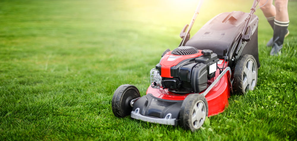 How to maintain your lawn in extreme heat