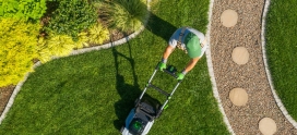 4 essential fall lawn care steps in Alberta