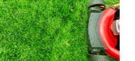 What’s Included In Residential Lawn Care Services In Calgary