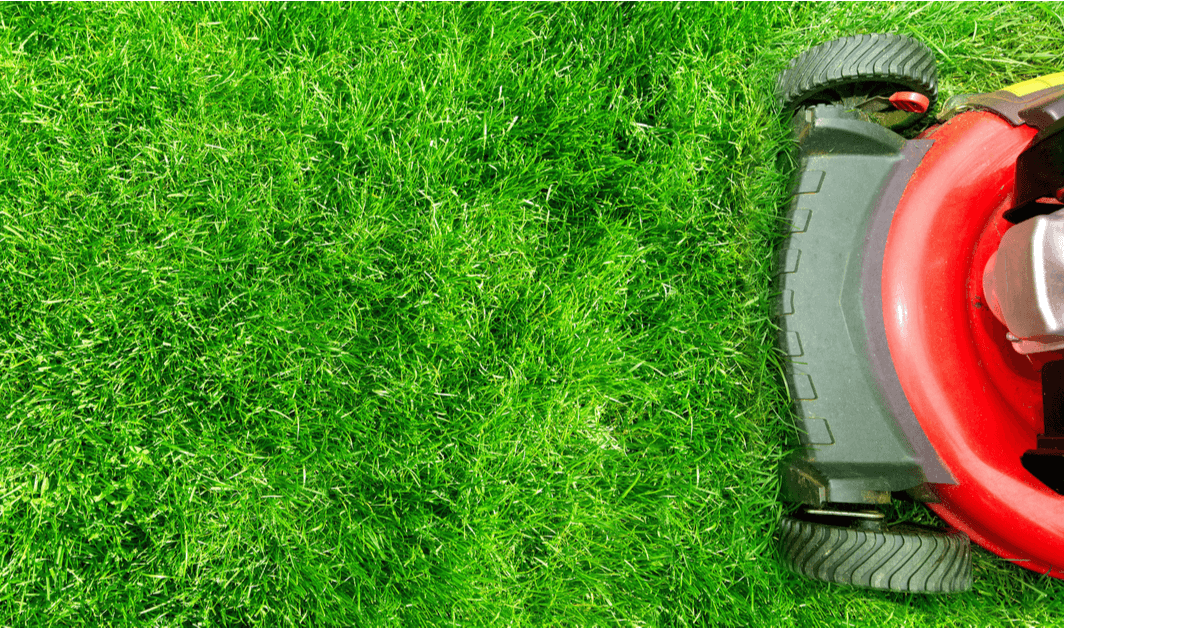 What’s Included In Residential Lawn Care Services In Calgary
