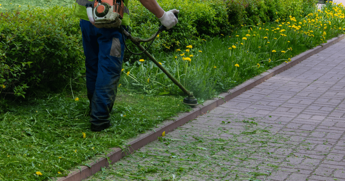 Professional Lawn Services In Calgary: Are They Necessary?