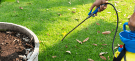 Effective Weed Control Services In Calgary