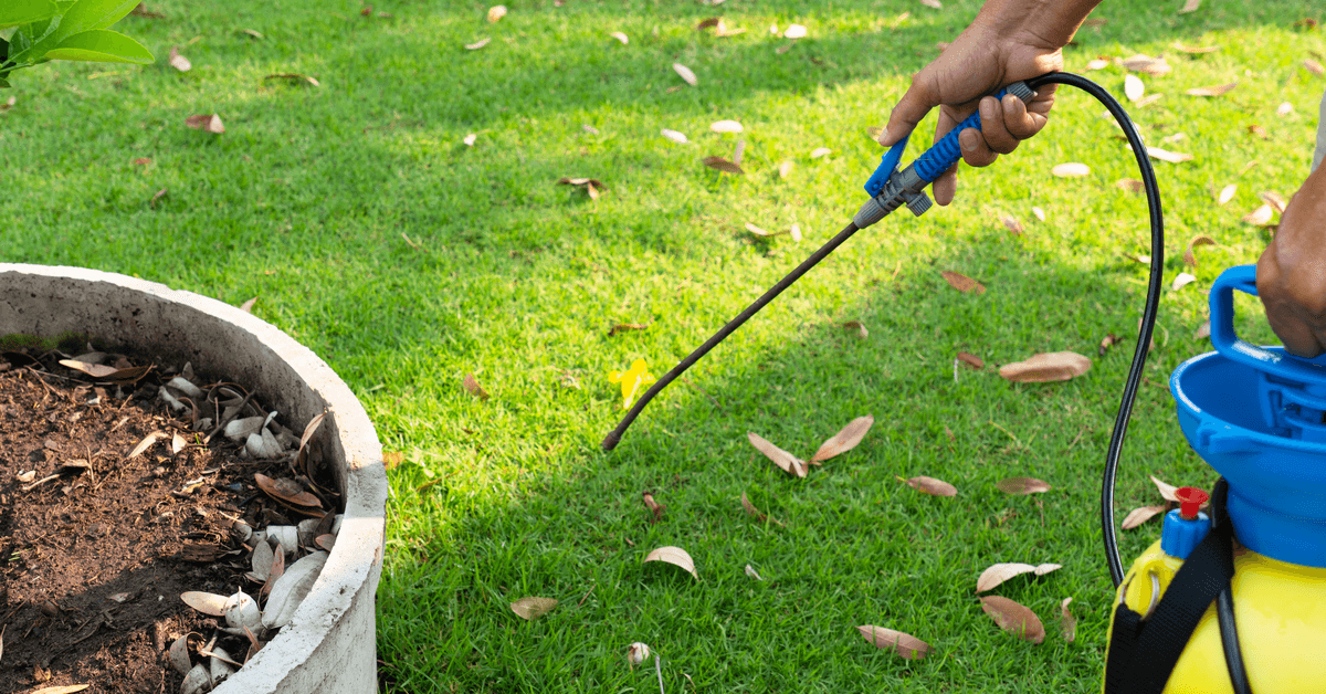 Effective Weed Control Services In Calgary