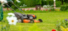 5 Tips on Maintaining the Perfect Lawn