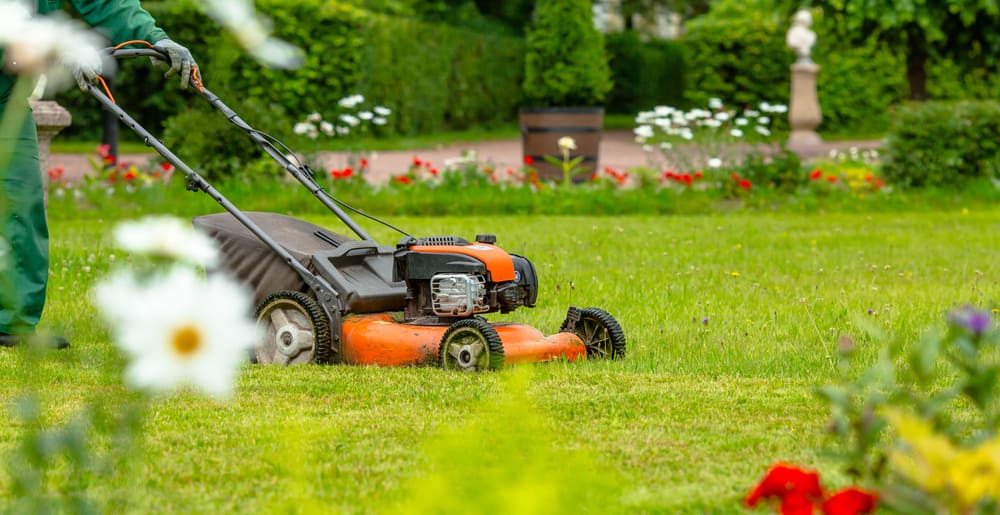 5 Tips on Maintaining the Perfect Lawn