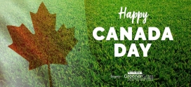 Maintaining a Beautiful Lawn for Canada Day
