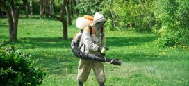 Mosquito Guard Spray Treatment: Enjoying a Mosquito-Free Summer