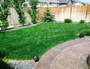 power raking services calgary