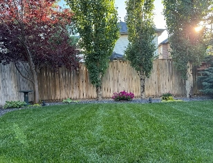 unwanted vegetation removal calgary
