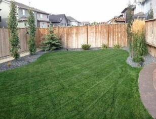 grass seeding calgary