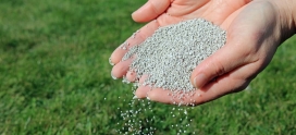 When’s the Best Time to Fertilize Your Lawn? For Calgary Homeowners