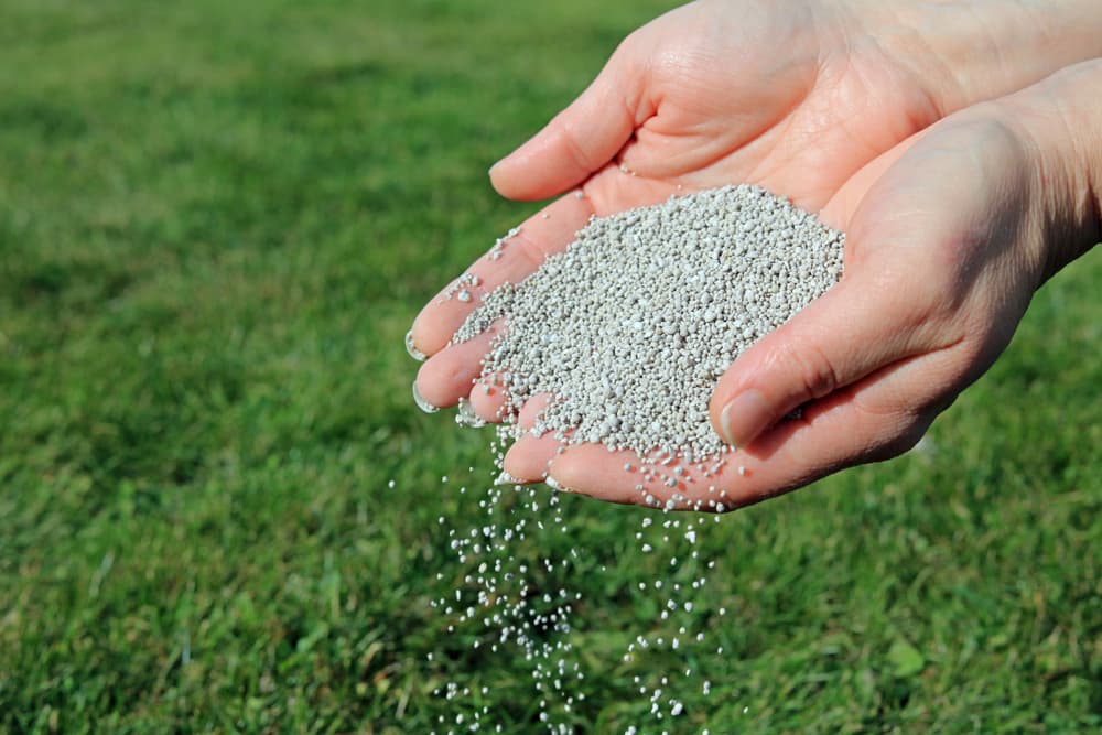 When’s the Best Time to Fertilize Your Lawn? For Calgary Homeowners