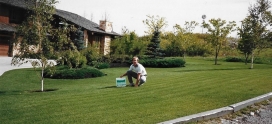 6 Professional Tips for Fertilizing Your Lawn in Calgary