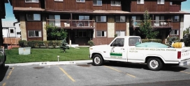 Greener Grass 40th Anniversary + Calgary Lawn Care Tips That Still Work