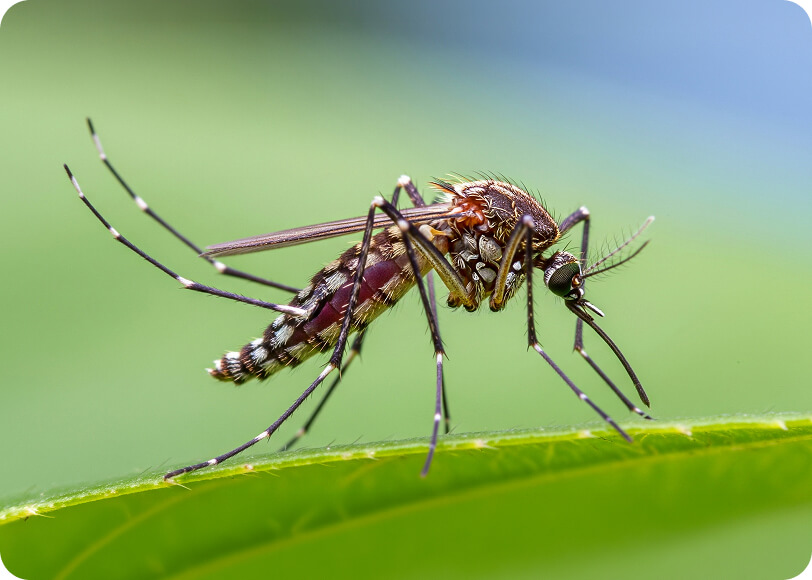 power raking services calgary