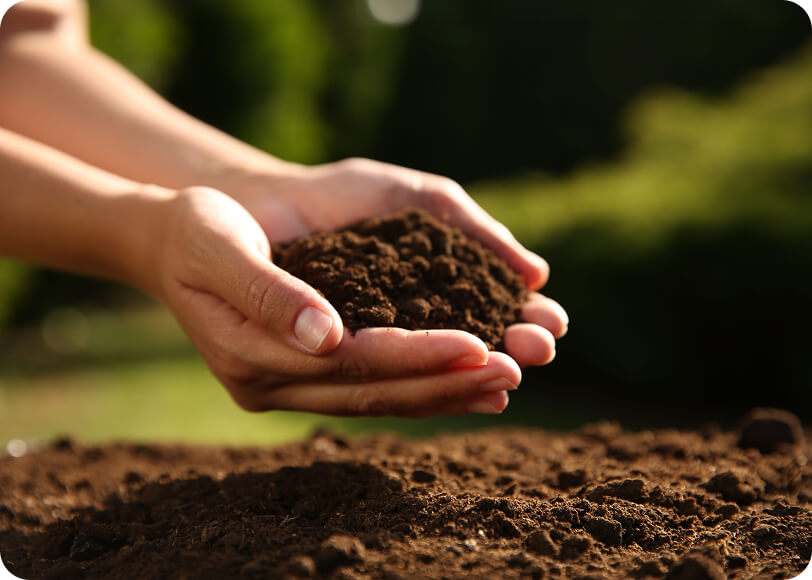 unwanted vegetation removal calgary