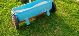 Liquid vs. Granular Fertilizer: Choosing the Best Option for a Greener Calgary Lawn