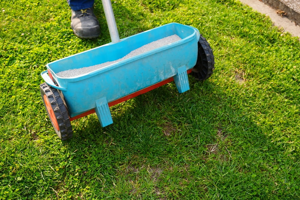 Liquid vs. Granular Fertilizer: Choosing the Best Option for a Greener Calgary Lawn