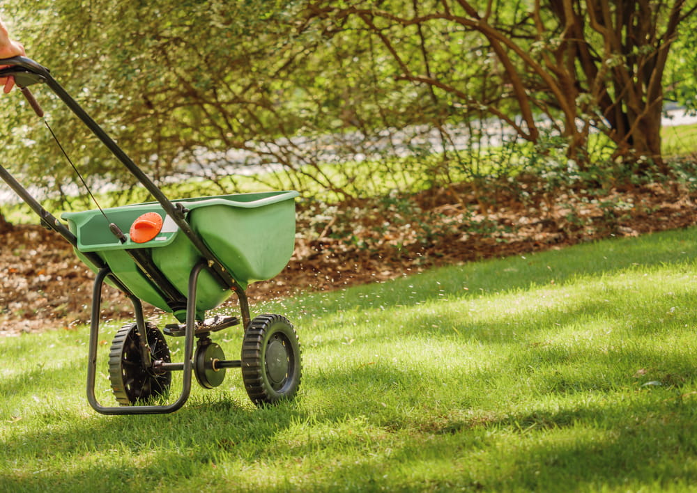 A Homeowner’s Guide to Fall Lawn Fertilizer in Calgary