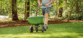 Aeration vs Overseeding: Which Treatment is Better for Your Lawn?