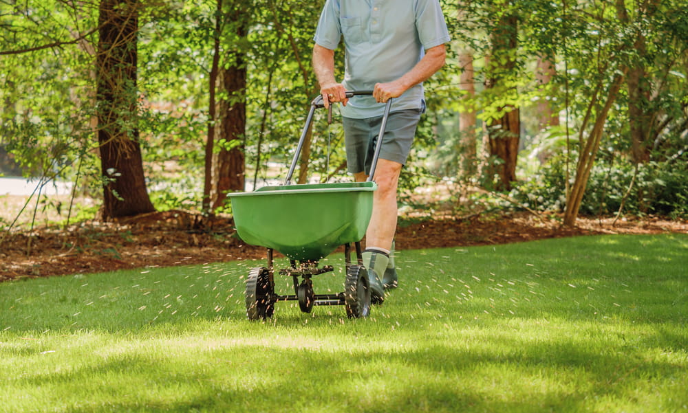 Aeration vs Overseeding: Which Treatment is Better for Your Lawn?